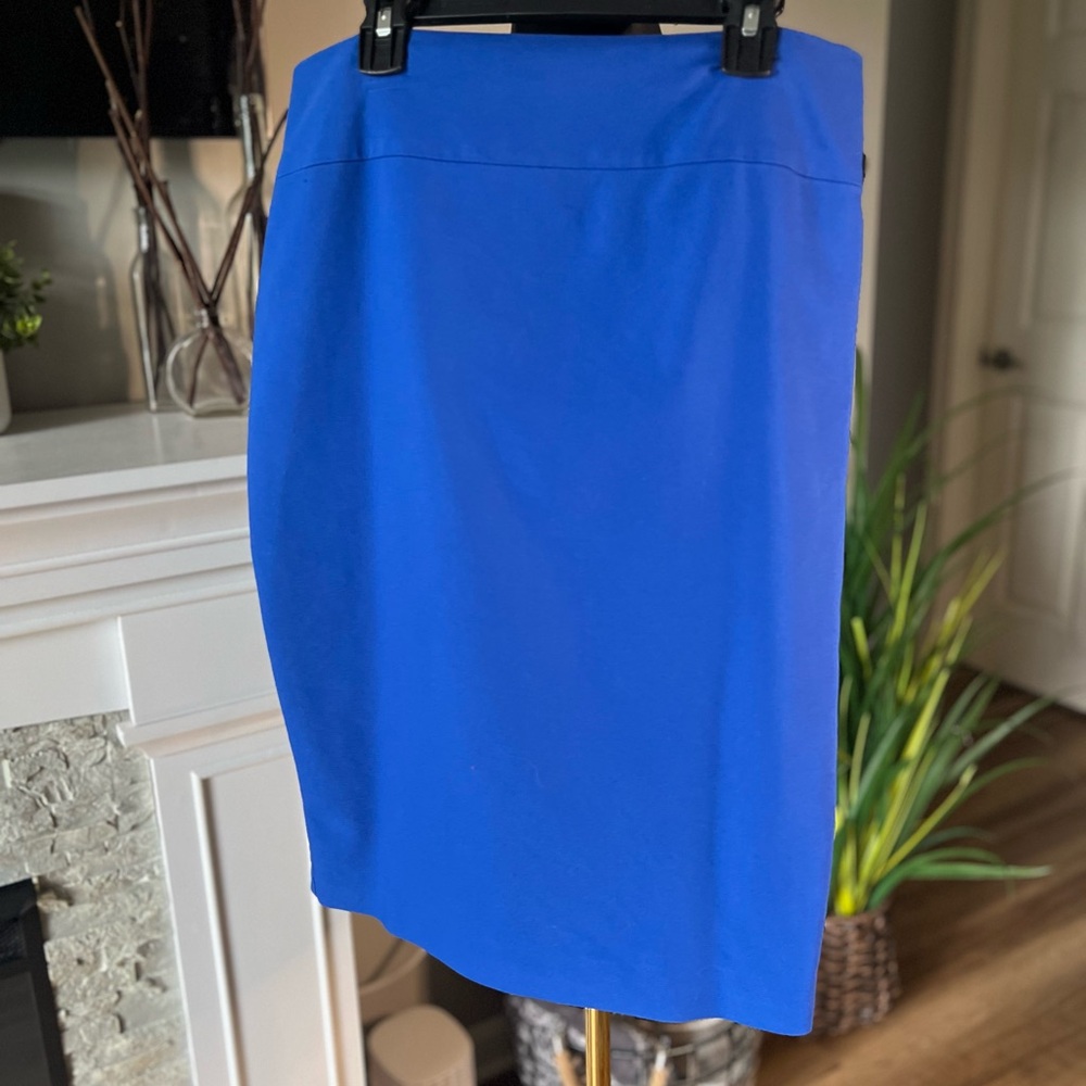 Express Blue Skirt